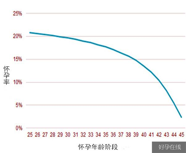 不同年龄段怀孕成功率