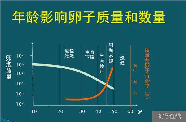 年龄决定试管婴儿成功率