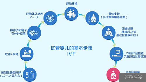 泰国试管婴儿胚胎着床失败元凶