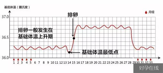 排卵期内基础体温变化曲线图