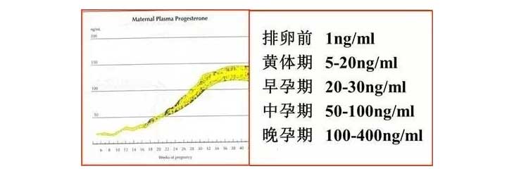 孕酮参考值