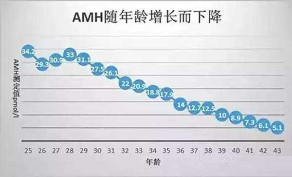 AMH的实际意义是啥