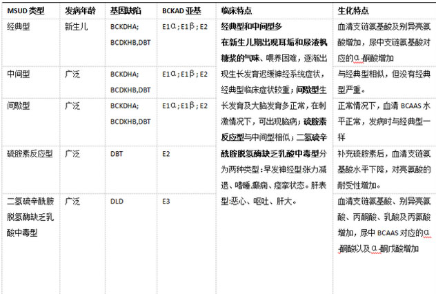 MSUD分型及特点