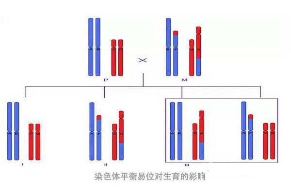 女性婴儿为什么患病多