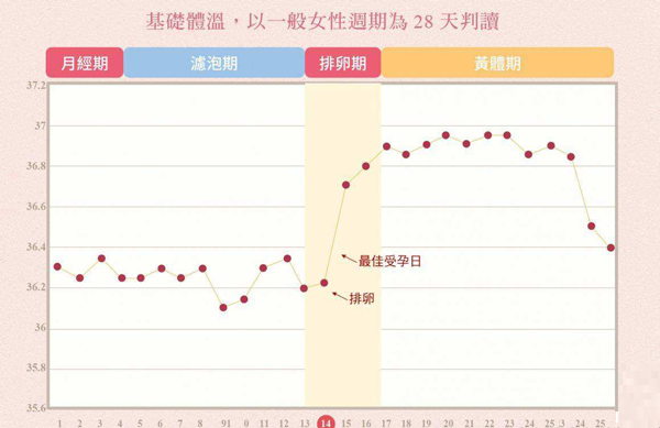 排卵期体温变化图