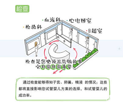 试管婴儿前期检查