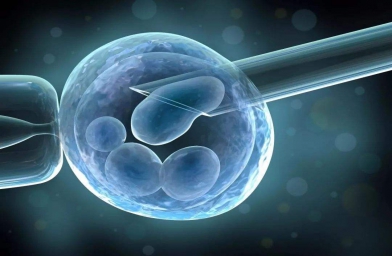 河北格鲁吉亚ReproArt诊所专家解释取卵对卵巢的伤害大吗？