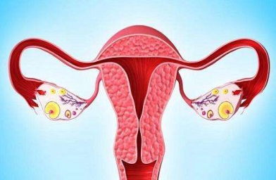 河北格鲁吉亚ReproArt诊所专家解释取卵后卵巢该如何保养？