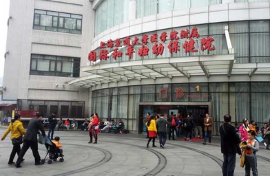 河北上海做试管助孕，上海国妇婴试管婴儿成功率和费用是怎样？