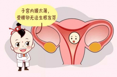 河北子宫内膜薄想要怀孕，做干细胞移植好不好?